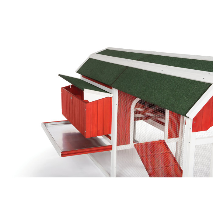 Archie & Oscar™ Hermione 33.93 Square Feet Chicken Coop with Chicken